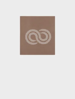 Online Rewoolution FAREO - accessorio in merino jersey 190 gr per uomo in colore marrone