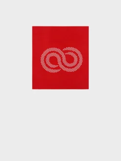 Outlet Rewoolution FAREO - accessorio in merino jersey 190 gr per uomo in colore rosso