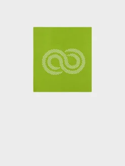 Outlet Rewoolution FAREO - accessorio in merino jersey 190 gr per uomo in colore verde