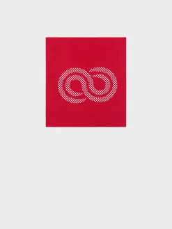 Hot Rewoolution FAREO - accessorio in merino jersey 190 gr per uomo in colore rosso