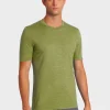 Online Rewoolution TRICK - t-shirt in merino jersey 140 gr per uomo in colore verde